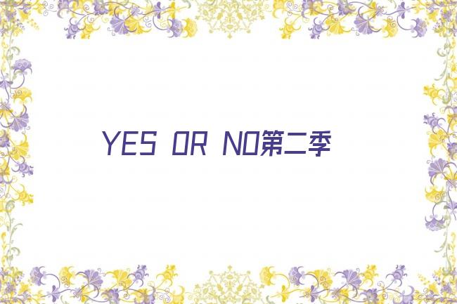 YES OR NO第二季剧照